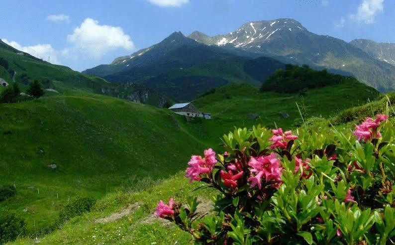 Hotel Piz Badus 2*